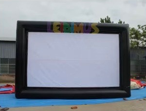 Outdoor Cinema Experience